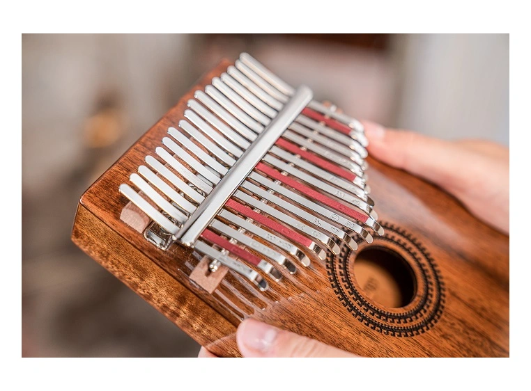 Meinl Sonic Energy PKL1707H Kalimba med pickup, C Major 17-Notes, Acacia 