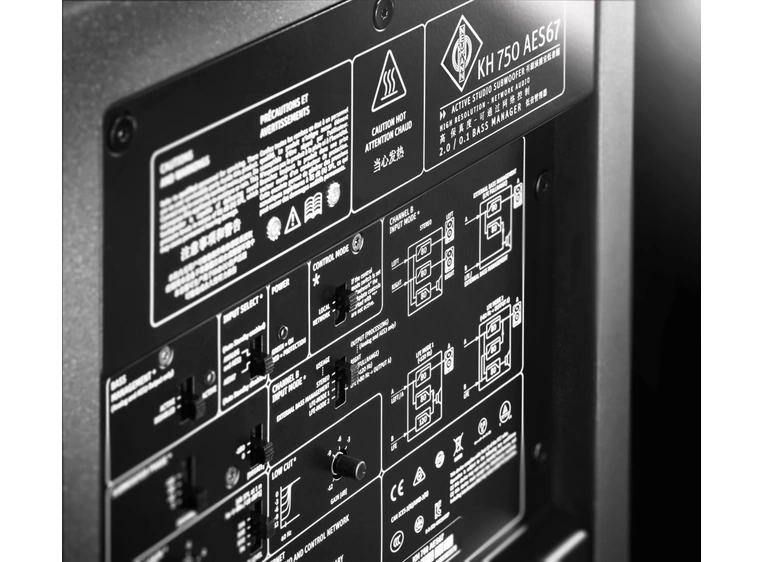 Neumann KH 750 AES67 