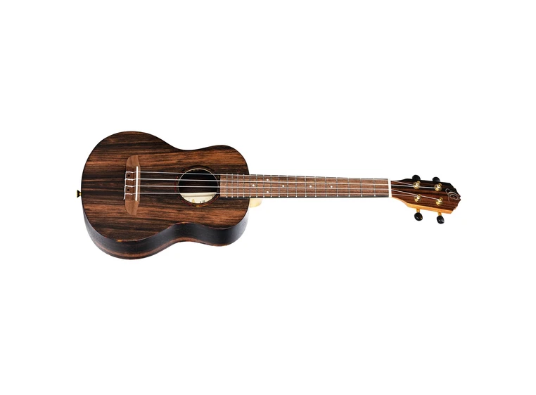 Ortega RUEB-TE Tenor ukulele med Gigbag 