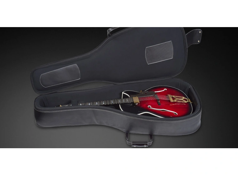 RockBag Jazz Guitar Gig Bag Genuine Handmade Leather Bags 