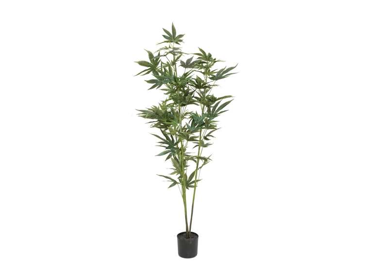 EUROPALMS Cannabis-plant,textile, 120cm 