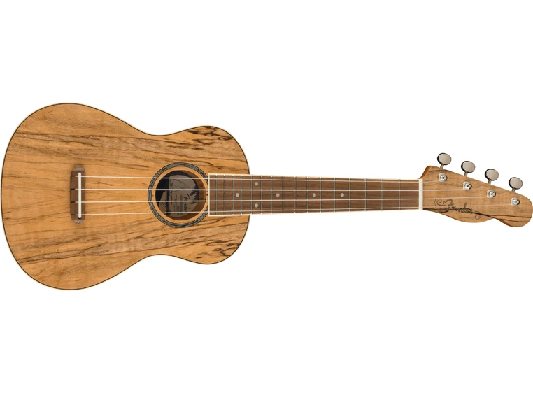 Fender Zuma Exotic Concert Ukulele Walnut Gripebrett Spalted Maple 
