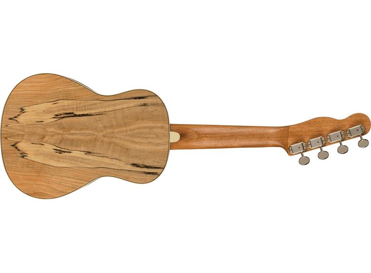 Fender Zuma Exotic Concert Ukulele Walnut Gripebrett Spalted Maple