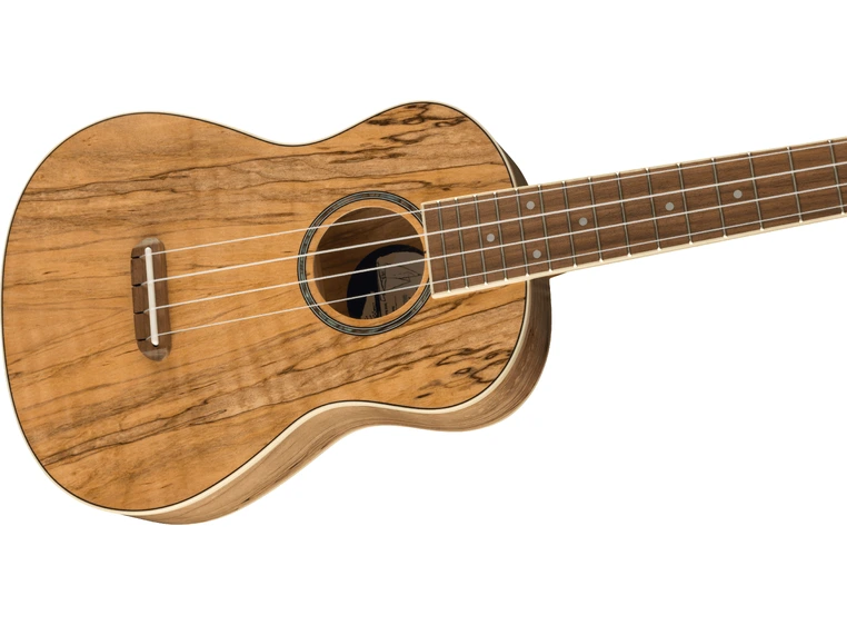 Fender Zuma Exotic Concert Ukulele Walnut Gripebrett Spalted Maple 