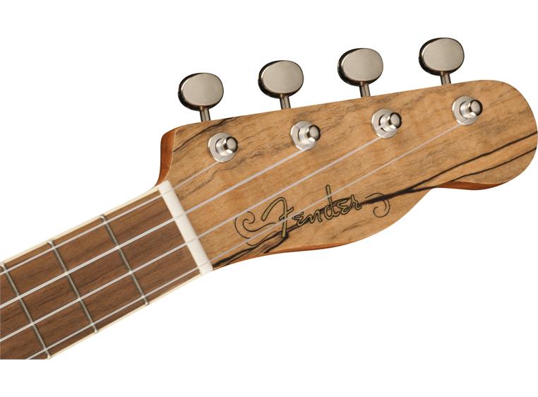 Fender Zuma Exotic Concert Ukulele Walnut Gripebrett Spalted Maple