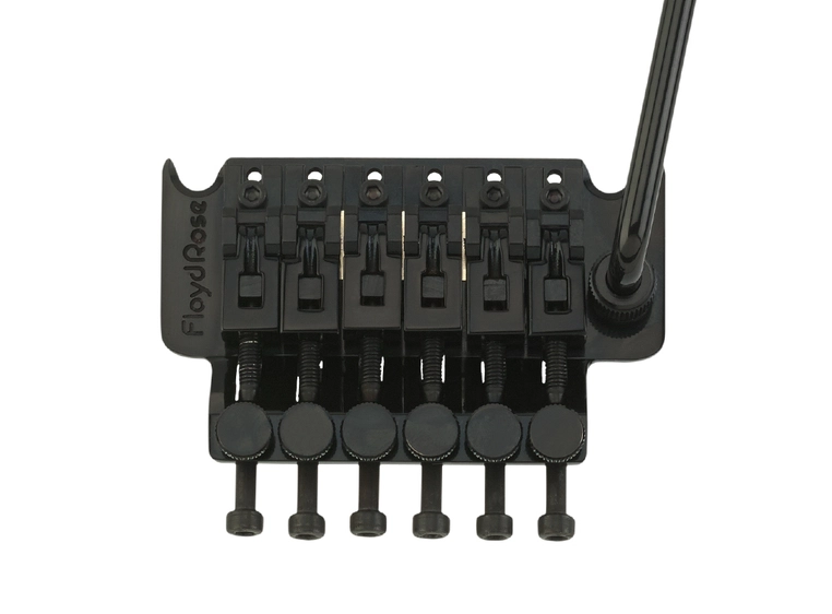 Floyd Rose Tremolo System Black (FRT200) 