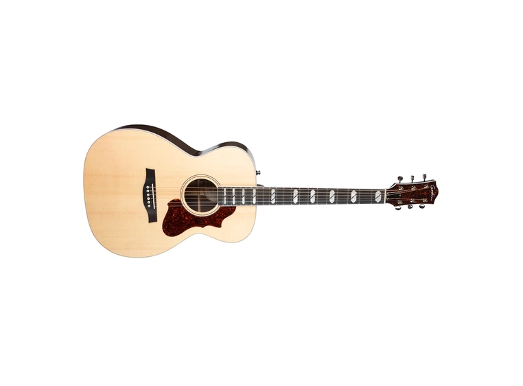 Godin Fairmount Concert Hall LTD Rosewood HG EQ 