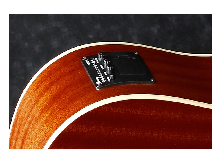 Ibanez PF-15ECE BK akgitar 