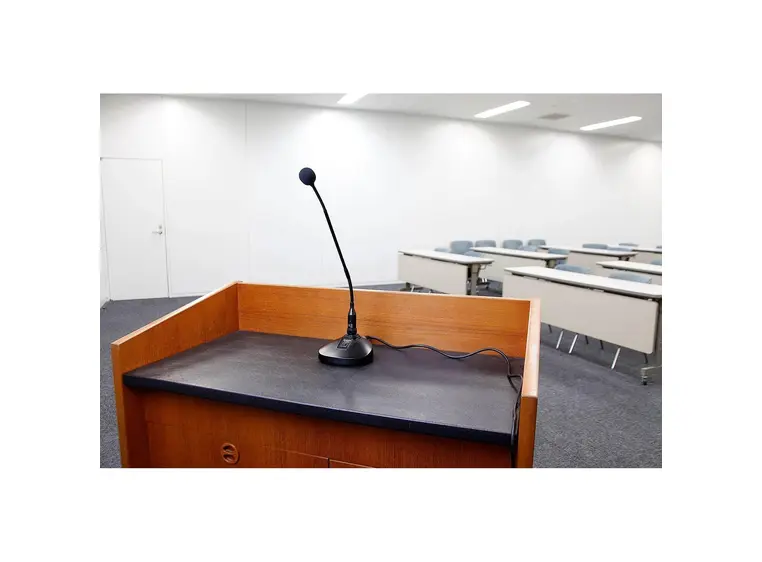 Tascam TM-95GN Svanehals kondensatormikrofon 