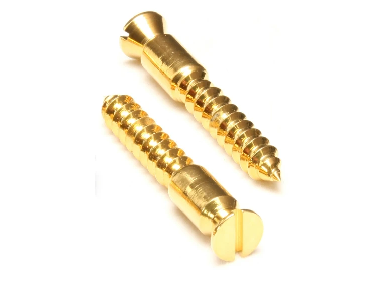 Floyd Rose Bridge Mounting Wood Screws (2 pcs), Satin Gold 