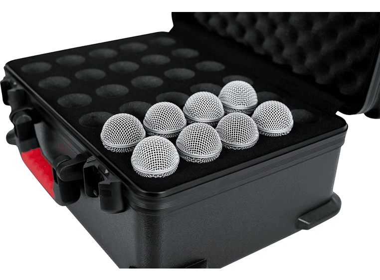 Gator GTSA-MIC30 Mikrofoncase for 30 