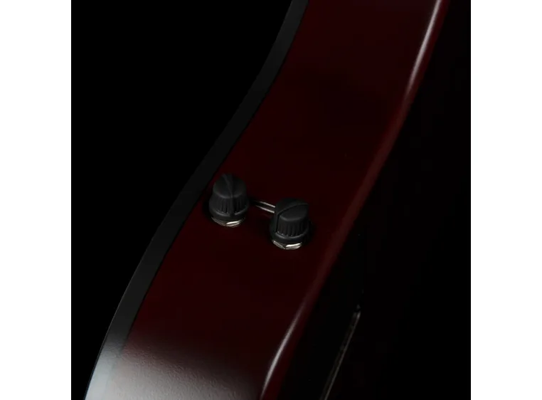 Godin A4 Natural Fretless A/E Bass 