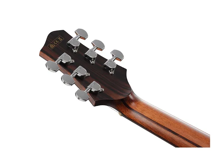 Ibanez PA300E-NSL Gitar m/mik & softcase PA series 