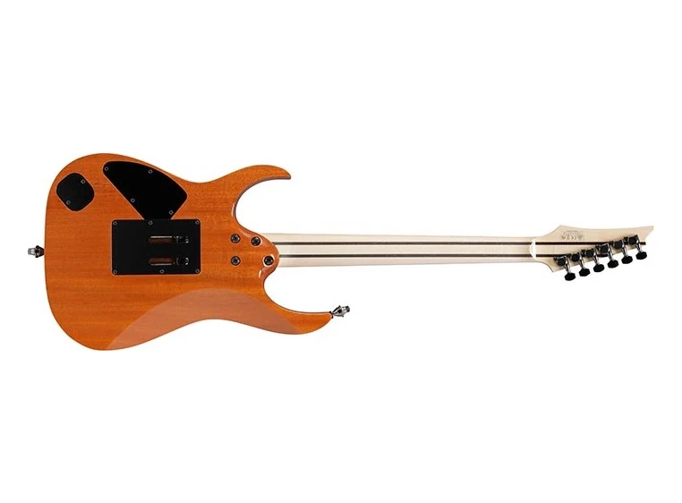 Ibanez RG8570CST-NT Ink hardcase 