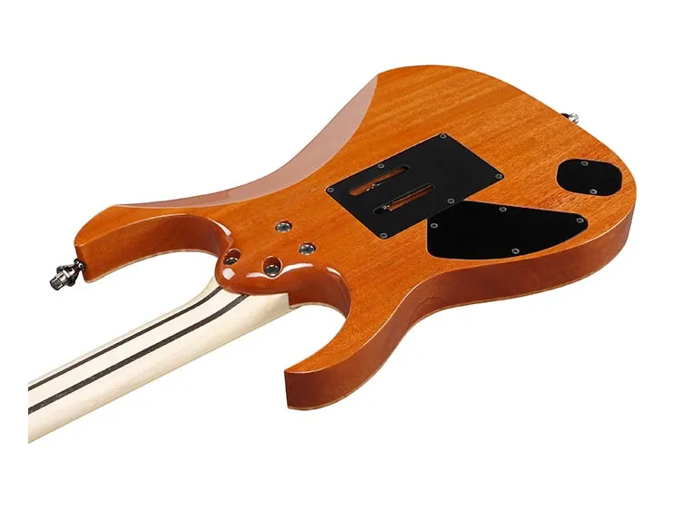 Ibanez RG8570CST-NT Ink hardcase 