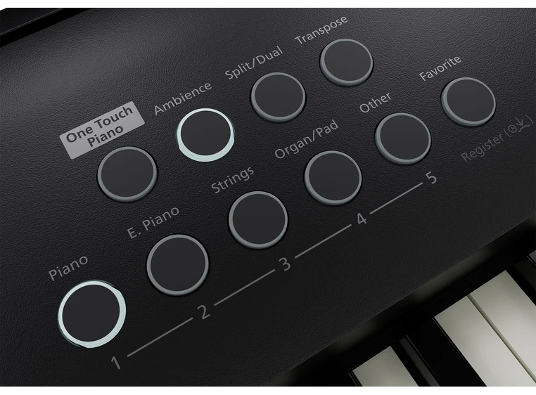 Roland FP-E50 
