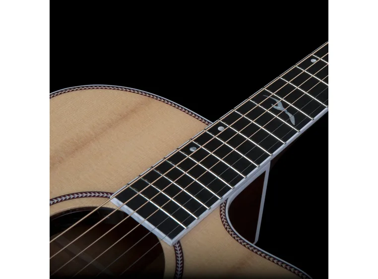 Seagull Artist Mosaic CW HG EQ 