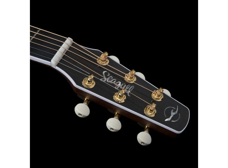 Seagull Artist Mosaic CW HG EQ 