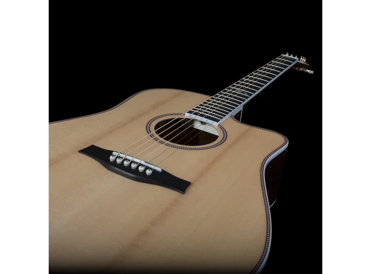 Seagull Seagull Artist Mosaic CW HG EQ 