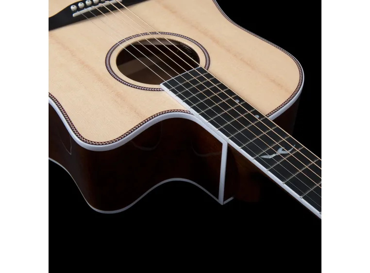 Seagull Seagull Artist Mosaic CW HG EQ 