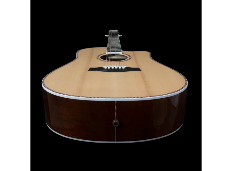 Seagull Seagull Artist Mosaic CW HG EQ 