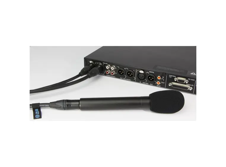 Tascam SS-R250N Solid state recorder Dual SD, USB Flash Recording 