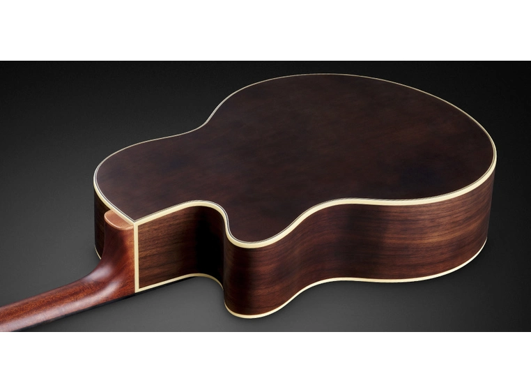 Warwick RockBass Alien Deluxe 4String, Fretless, Nat.Transp. Satin 