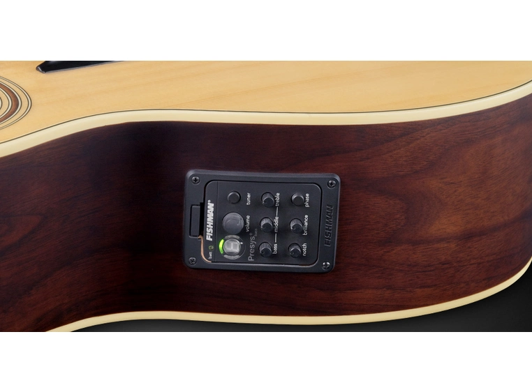 Warwick RockBass Alien Deluxe 4String, Fretless, Nat.Transp. Satin 