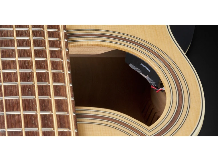 Warwick RockBass Alien Standard 5String, Natural Transparent Satin 