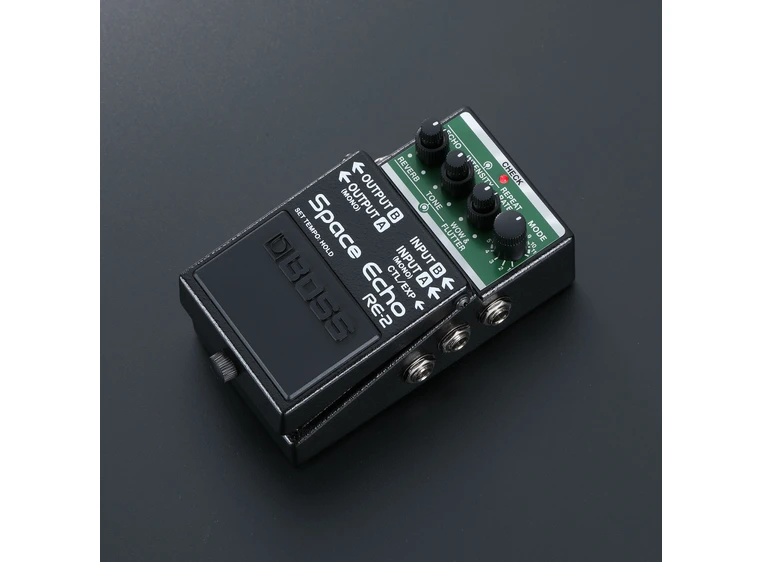 Boss RE-2 Space Echo digital delay 