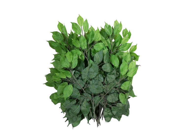 EUROPALMS Ficus spray Benjamina artificial, 12x 