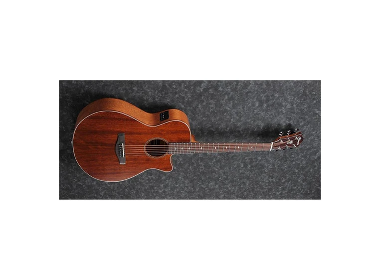 Ibanez AEG220-LGS 