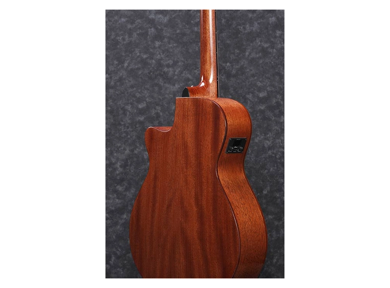 Ibanez AEG220-LGS 