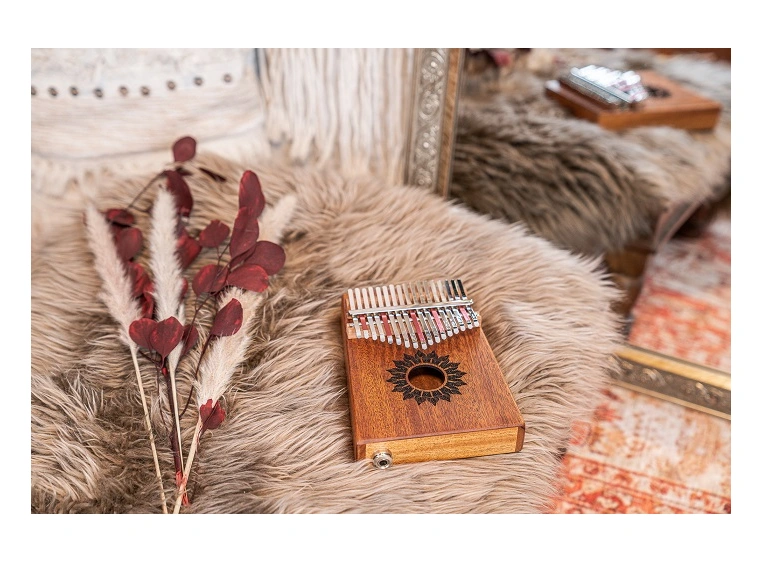 Meinl Sonic Energy PKL1708H Kalimba med pickup, C Major 17-Notes, Mahogany 