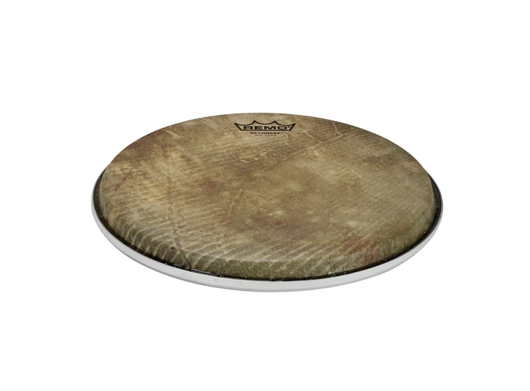 Remo BD-0010-00-SD001 R-Series Skyndeep Doumbek Drumhead- Fish Skin Graphic, 10" 