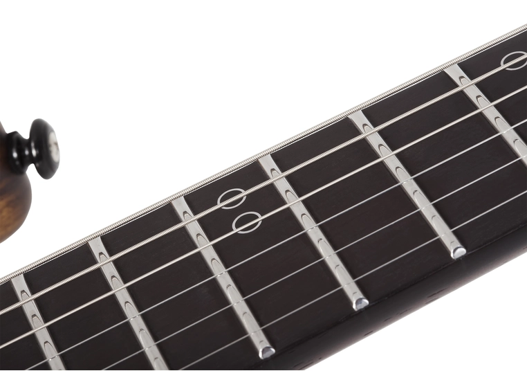 Schecter SVSS Exotic HT Black Limba BL 