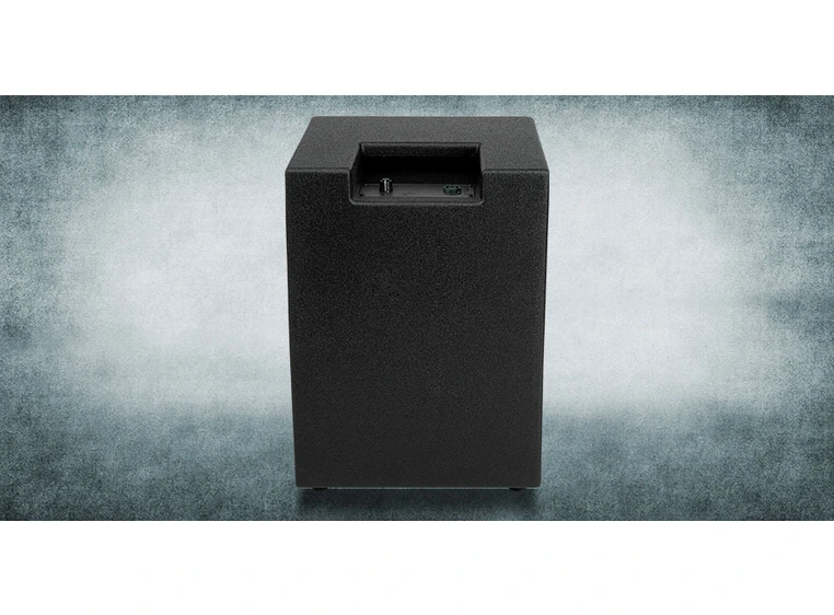 Warwick Gnome Pro CAB 12/4 Compact Bass Cabinet, 1x12", 300 Watt 