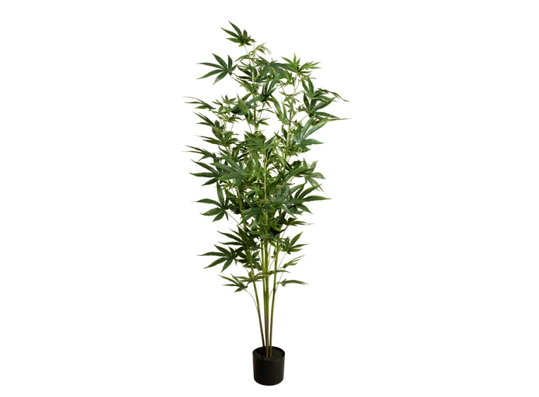 EUROPALMS Cannabis-plant,textile, 150cm 