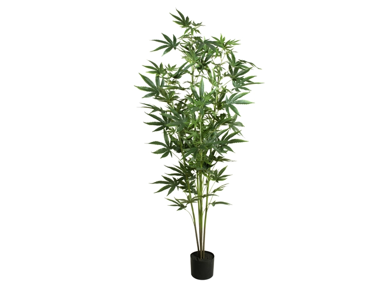 EUROPALMS Cannabis-plant,textile, 150cm 