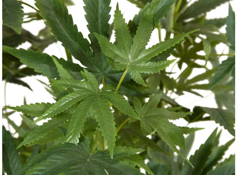 EUROPALMS Cannabis-plant,textile, 150cm 