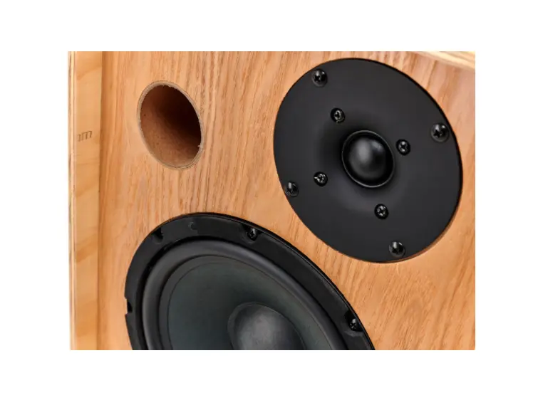 Ortega CONE-ASH Ortega Akustisk forsterker, combo 100w, Ash 