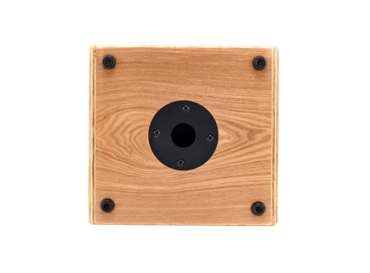 Ortega CONE-ASH Ortega Akustisk forsterker, combo 100w, Ash 