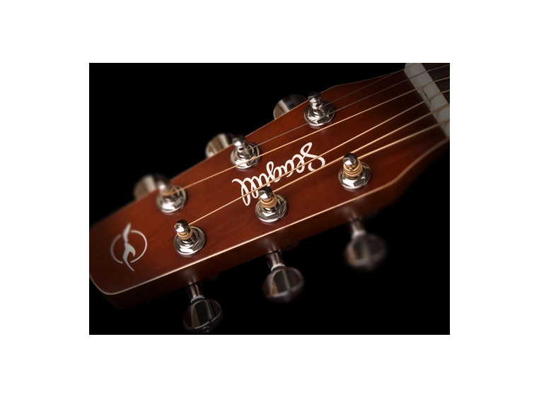 Seagull Entourage Autumn Burst CW Presys II 