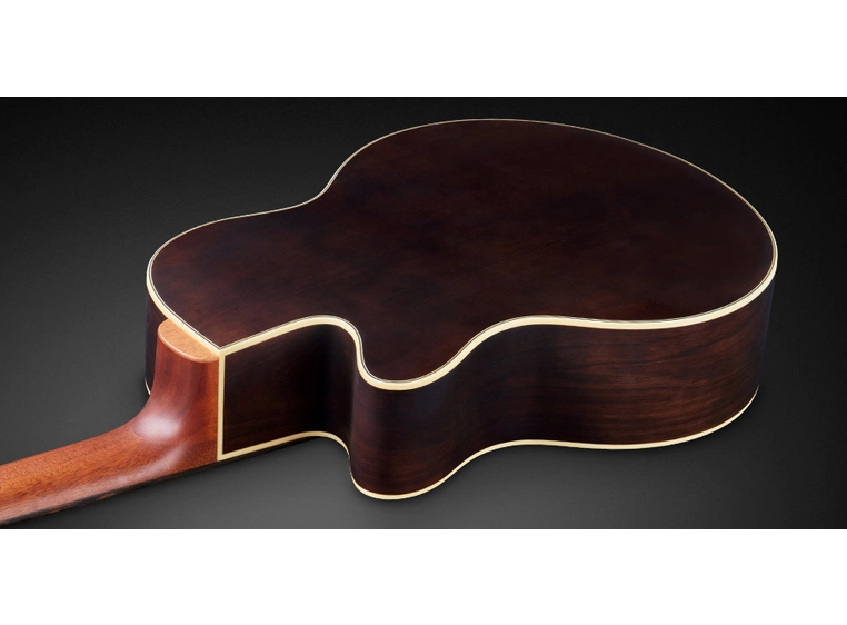 Warwick RockBass Alien Deluxe 6String,Fretless,NaturalTransparentSatin 