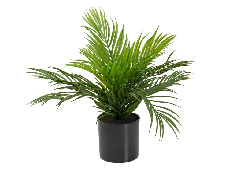 EUROPALMS Areca Palm, artificial plant 46 cm 