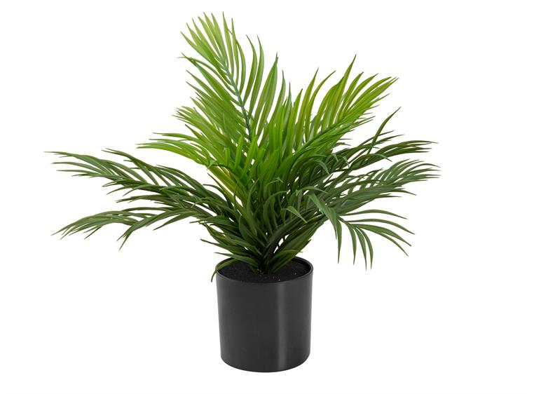 EUROPALMS Areca Palm, artificial plant 46 cm