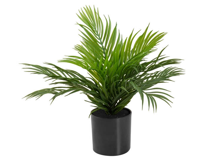 EUROPALMS Areca Palm, artificial plant 46 cm 