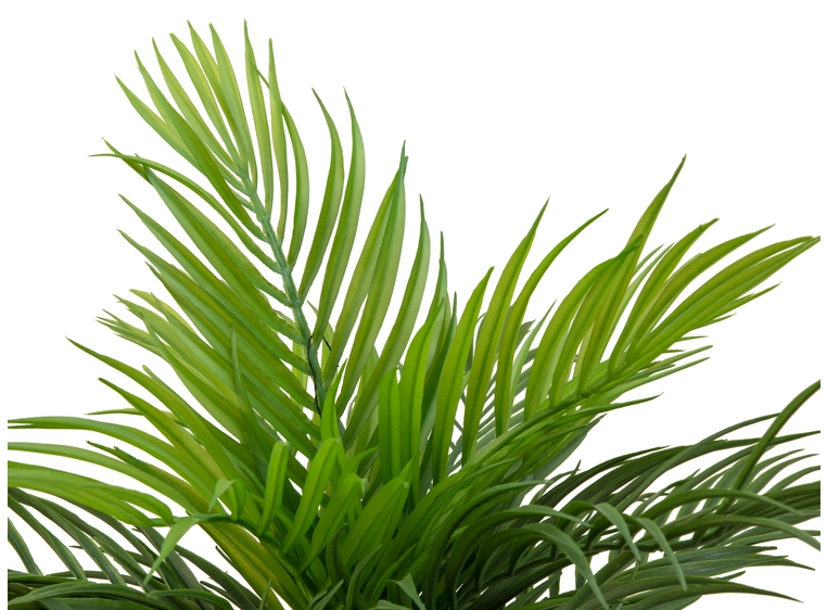 EUROPALMS Areca Palm, artificial plant 46 cm 
