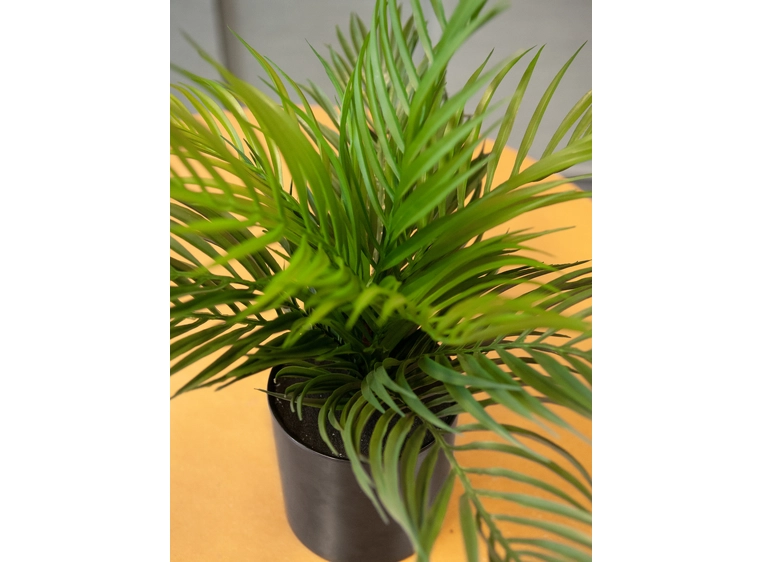 EUROPALMS Areca Palm, artificial plant 46 cm 