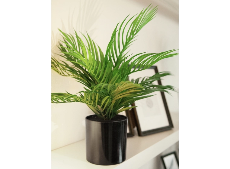 EUROPALMS Areca Palm, artificial plant 46 cm 